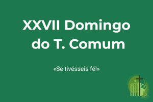 You are currently viewing XXVII Domingo do Tempo Comum