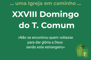 You are currently viewing XXVIII Domingo do Tempo Comum
